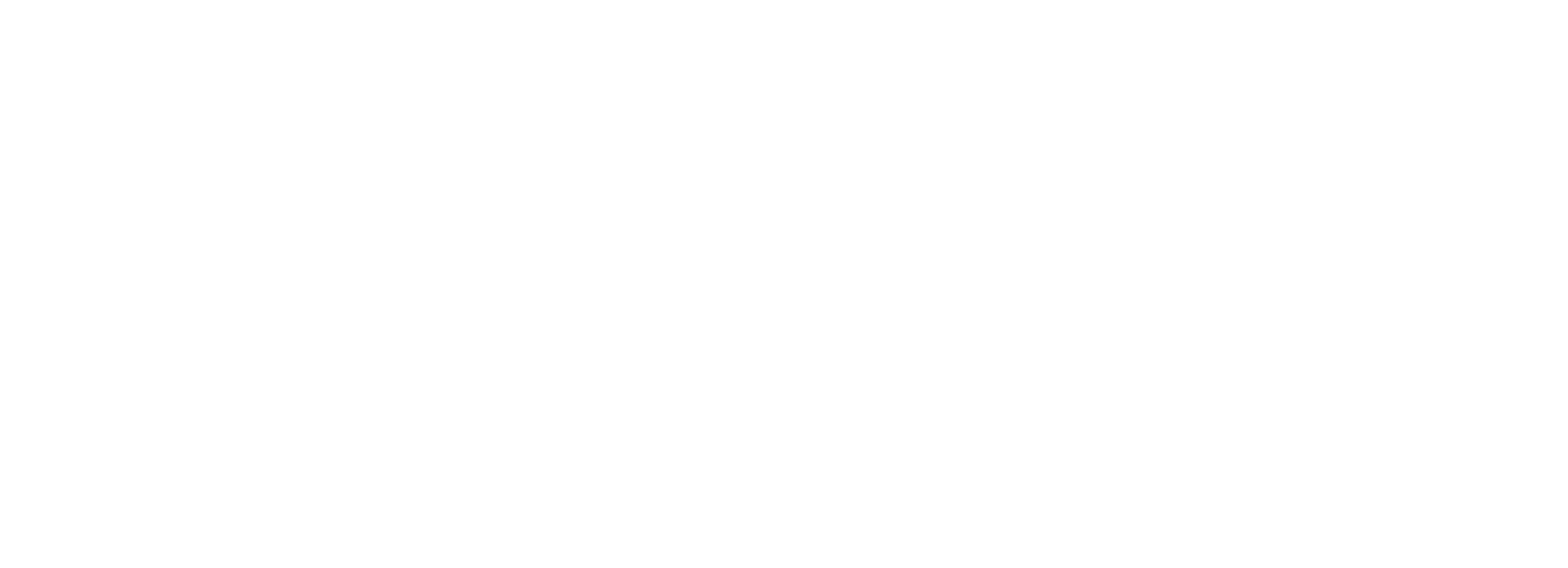 bucenin.design